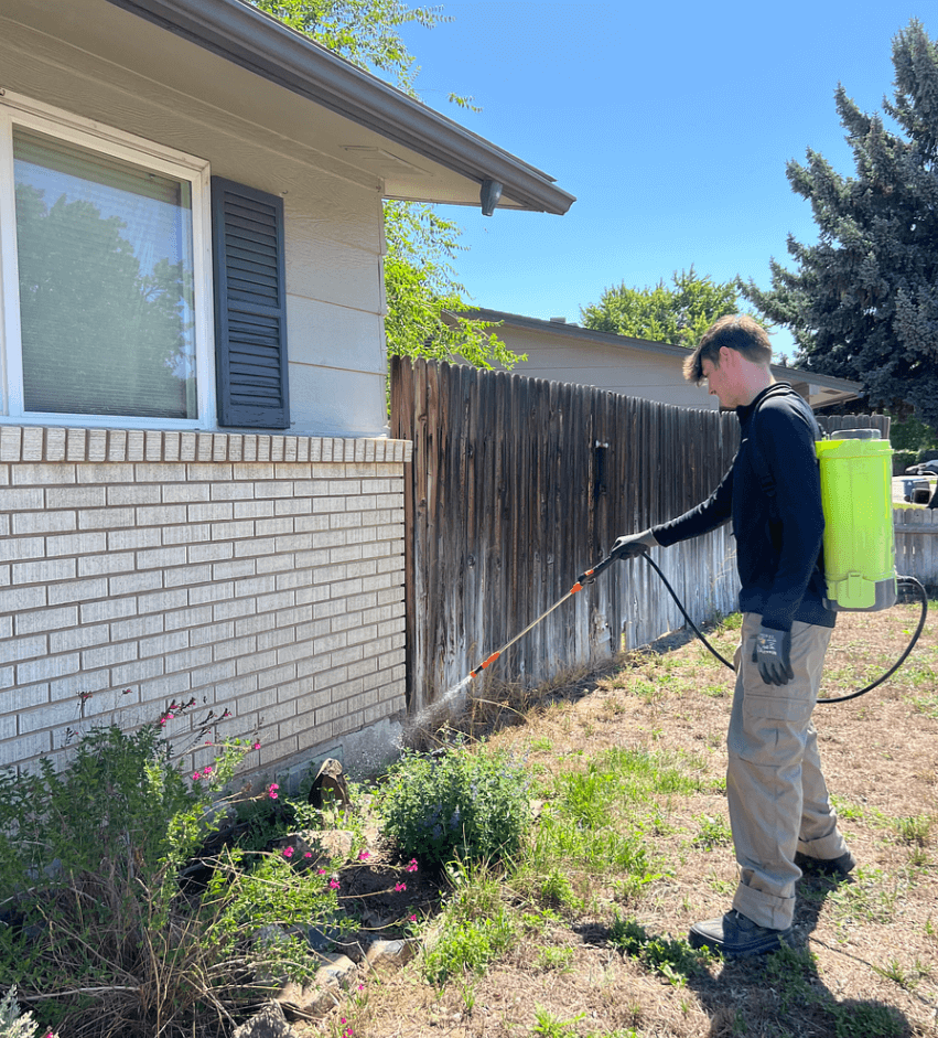 Stonewood-pest-control-home