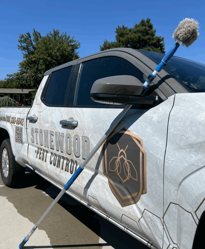 Stonewood-pest-control-sevice areas page