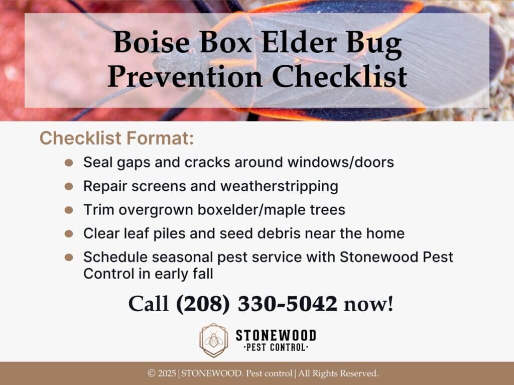 Boise Box elder bug prevention checklist five steps