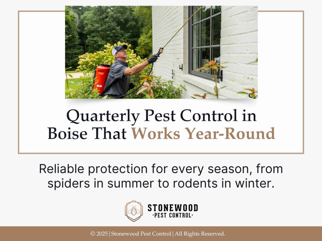 Pest control worker sprays pesticide along exterior wall and window- quarterly pest control in Boise works for every season.