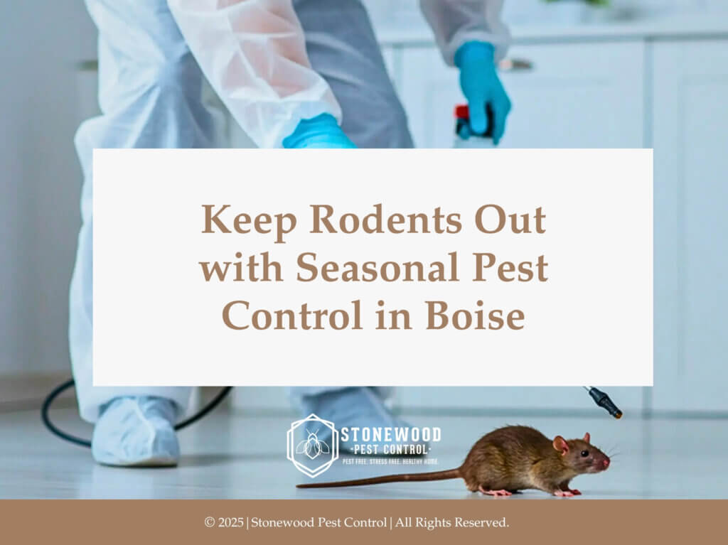 Exterminator in protective gear with chemical sprayer and rat on floor.