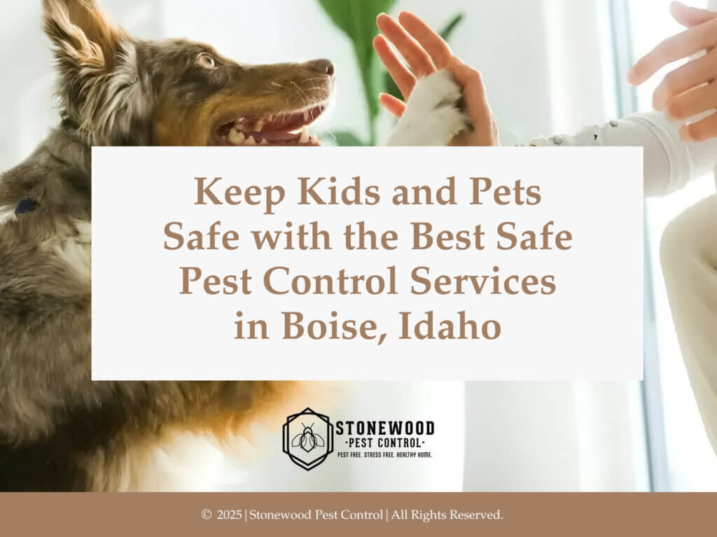 A dog happily reaching up towards persons hands. Safe pest control services in Boise.
