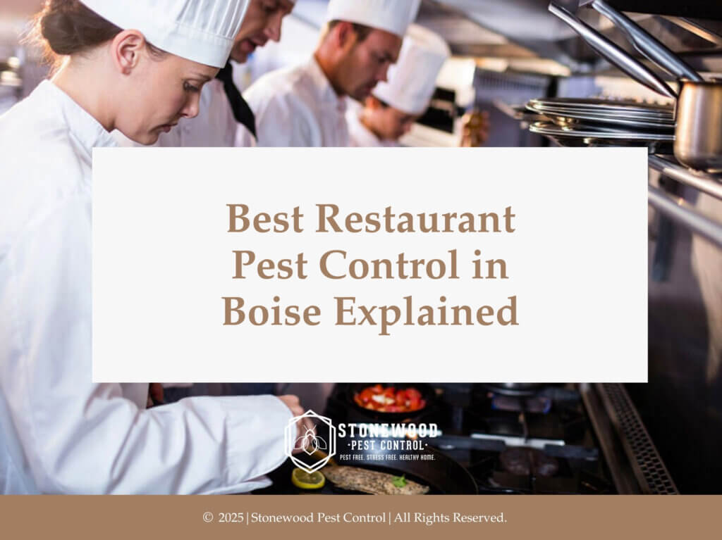 Chefs working in busy commercial kitchen- Restaurant Pest Control in Boise.