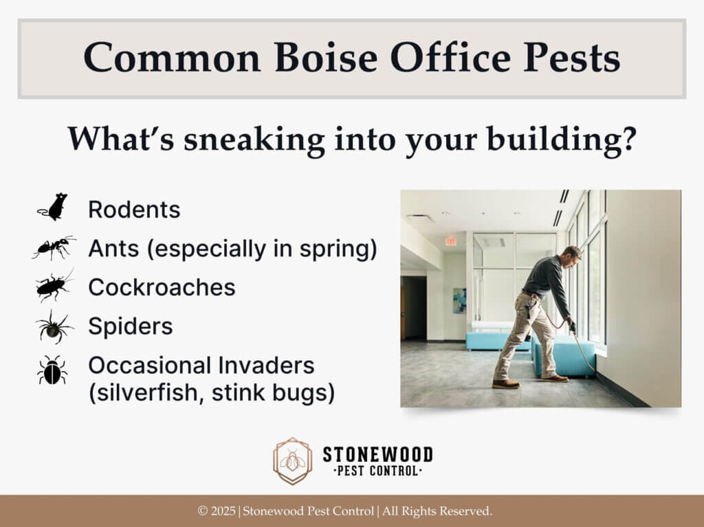Pest control tech spraying along baseboard of office lobby- five common boise office pests.