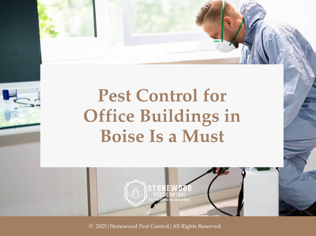 Pest control pro spraying in office environment- pest control for office buildings in Boise.